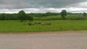 P_20170614_114430.jpg