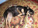 pict0666.jpg
