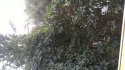 P_20170724_194309.jpg