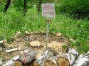 berzka_agashinoy (1).jpg