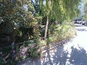IMG_20170815_133632.jpg