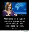 8781019.jpg