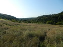 DSCN3832.JPG