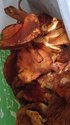 IMG-20170917-WA0000.jpg