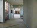 DSCN3911.JPG