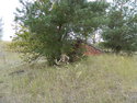 DSCN4042.JPG