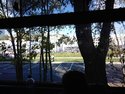 IMG_5.jpg