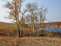 PA194349.jpg
