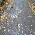 20171029_105922.jpg
