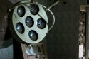 DSC08805.jpg