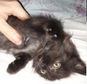 20171112_082820.jpg