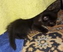 20171112_083341.jpg