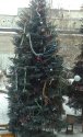 IMG_20180113_094547_596.jpg