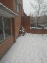 IMG_2018-01-29_100412.jpg