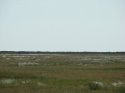 DSC00608.jpg