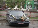верные лебеди 2.jpg