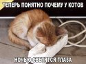 1516981627_kartinki_s_tekstom_08.jpg