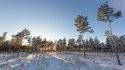 DSC_0257-169.jpg