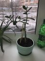 28320118-912F-42B2-ADA2-E0BD04E59538.jpeg