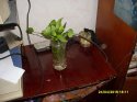 SDC13006.JPG