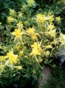 IMG_20170621_103216.jpg