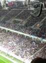 IMG_20180509_202733.jpg