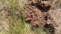 P_20180526_142612.jpg