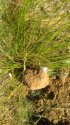 P_20180526_142626.jpg