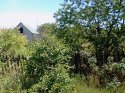 IMG_20180602_132313.jpg
