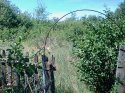 IMG_20180602_132338.jpg
