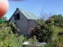 IMG_20180602_132357.jpg