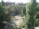 DSC01889.JPG