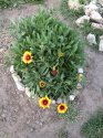 image%3A131122.jpg