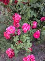 image%3A131119.jpg