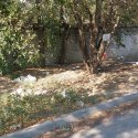 20180709_154958.jpg