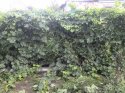 image%3A140130.jpg