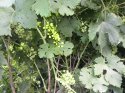 image%3A140129.jpg