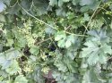 image%3A140125.jpg