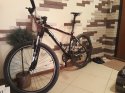 20180725_084724.jpg