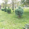20180728_103546.jpg