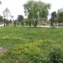 20180728_103655.jpg