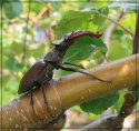 IMG_3154.jpg