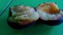 IMG_20180727_182920.jpg