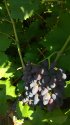 PHOTO_20180808_100025.jpg