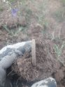 20180805_124215.jpg
