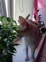 IMG_20180814_140402.jpg