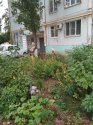 IMG_20180916_172913.jpg