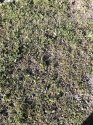 IMG_20180930_155636.jpg