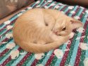 IMG_20181021_181452.jpg