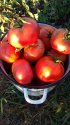 IMG_20181007_160850.jpg